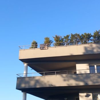 WhatsApp Image 2025-04-14 à 19.12.39_35b9c132