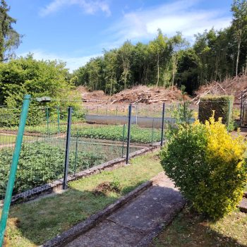 WhatsApp Image 2025-06-06 à 16.36.36_8d3e6786